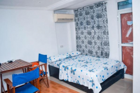Mini Studio Apt kitchen,AC,Wi-Fi unlimited in upanga